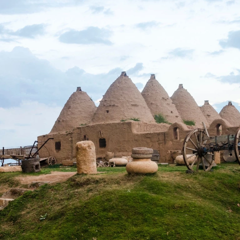 लक्ज़री गैप टूर्स (बस से)