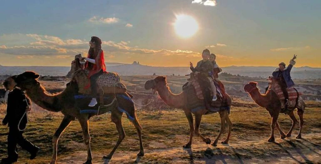 Καβάλα Καμήλας στην Καππαδοκία