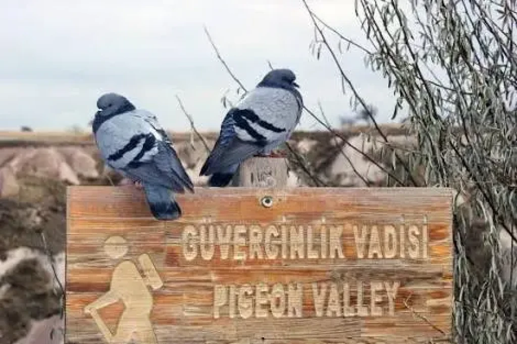 Зелений тур по Каппадокії