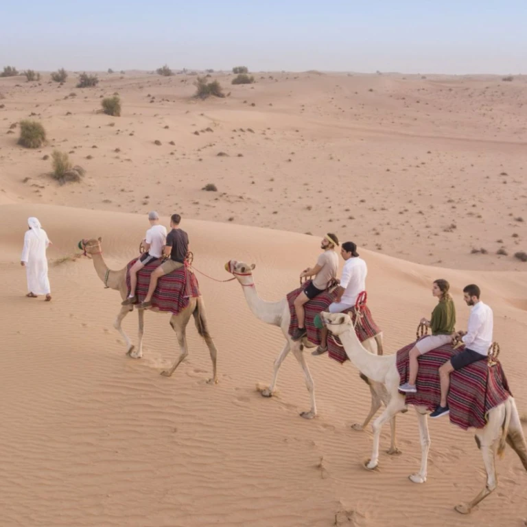 Luchtballon - Premium