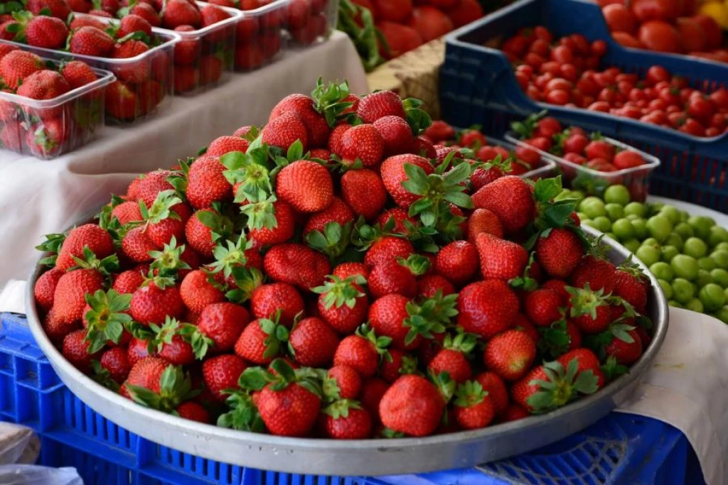 How to Find Best Gulet Holiday?