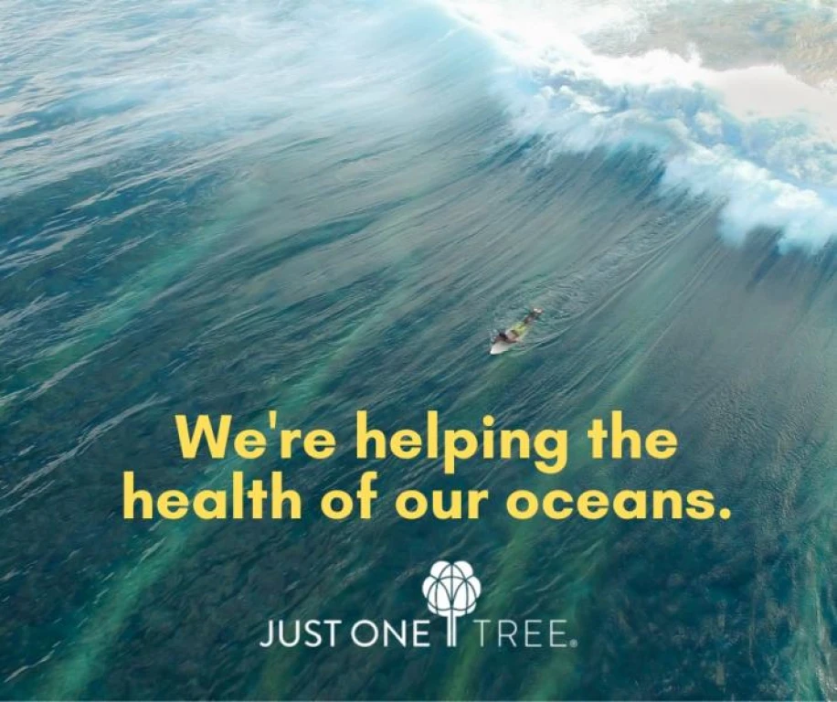 Reduce Your Carbon Footprint