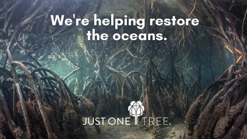 Reduce Your Carbon Footprint