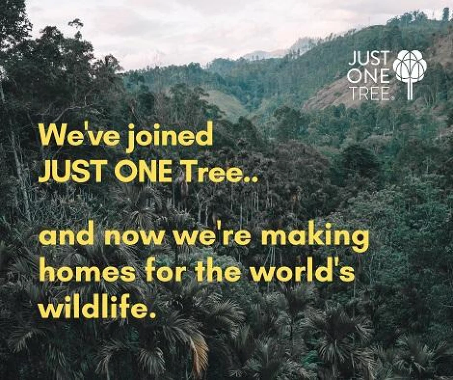 Reduce Your Carbon Footprint