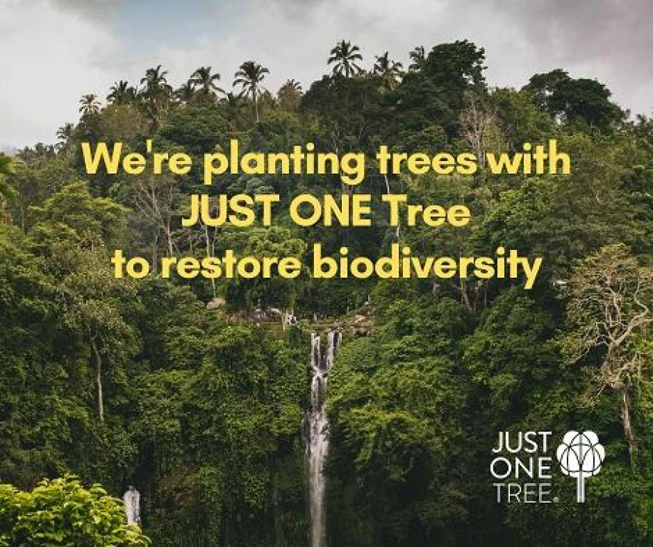 Reduce Your Carbon Footprint