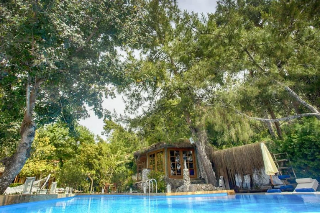 Luxury Gulet Cruise and Faralya Boutique Hotel