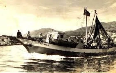 Why “Blue Voyage” and “Blue Cruise”? Understanding the Differences