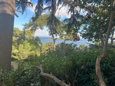 BÜYÜKADA HEYBELİADA 15 AĞUSTOS ( TÜM FERİBOT GEÇİŞLERİ DAHİL)