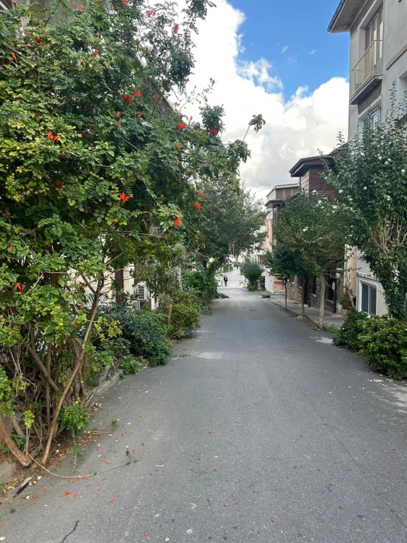 BÜYÜKADA HEYBELİADA 28 HAZİRAN  ( TÜM FERİBOT GEÇİŞLERİ DAHİL)