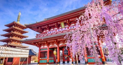 Japonya & Güney Kore Turları