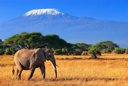 ELEGANT KENYA BÜYÜK GÖÇ - 6 gece - Thy - Nbo-Nbo