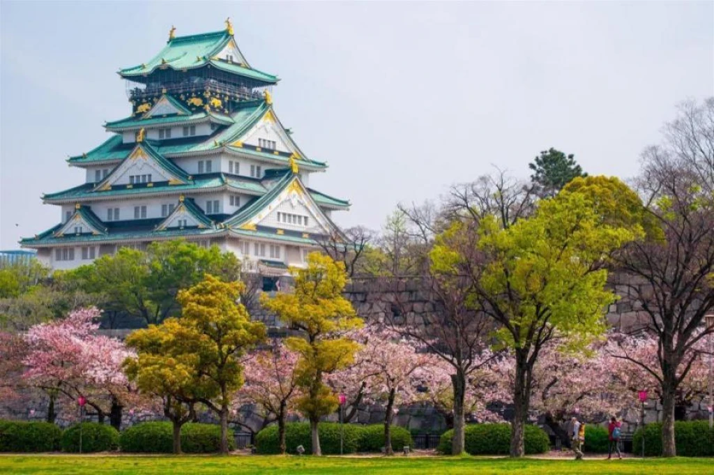 Comfort Japonya Turu Uçaksız Paket ile 6 Gece