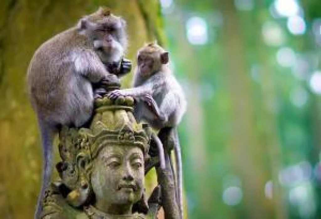 Bali & Ubud Serüveni Turu Türk Hava Yolları ile 6 Gece (DPS-DPS) 