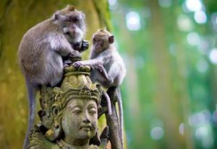 Bali & Ubud Serüveni Turu Türk Hava Yolları ile 6 Gece (DPS-DPS) 