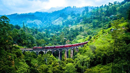ELEGANT SRI LANKA - 5 Gece - Jazeera - CMB - CMB 
