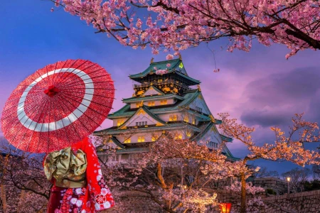 MAVİ JAPONYA OKINAWADAN TOKYOYA Türk Hava Yolları ile 7 Gece (KIX-NRT)