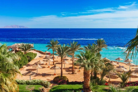 İzmir Hareketli Sharm - Kahire (İskenderiye) - St. Catherine ve Dahab - Yarım Pansiyon - Kolay Vize...