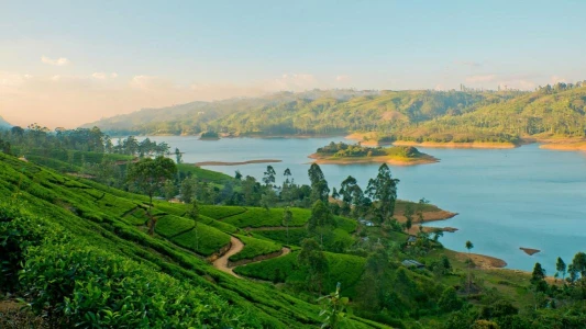 ELEGANT SRI LANKA - 5 Gece - Jazeera Hava Yolları ile - CMB - CMB 