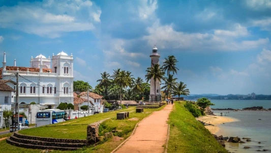 ELEGANT SRI LANKA - 5 Gece - Jazeera Hava Yolları ile - CMB - CMB 