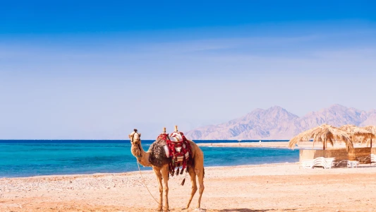 Baştanbaşa Mısır Turları Hurgada Kahire Sharm Ajet ile 7 Gece 8 Gün