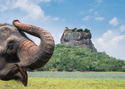 ELEGANT SRI LANKA – 5 Gece – JAZEERA HAVA YOLLARI - CMB - CMB 
