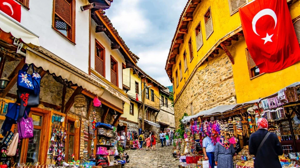 Günübirlik Cumalıkızık ve Uludağ Kayak Turu  / İstanbul Çıkışlı