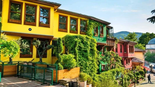 Günübirlik Cumalıkızık ve Uludağ Kayak Turu  / İstanbul Çıkışlı