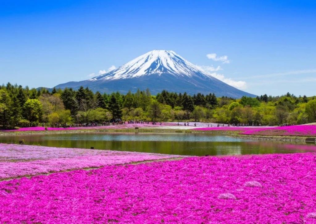 Japonya Turları ile Uzakdoğu’nun Kalbine Yolculuk: Gelenekselden Geleceğe Eşsiz Bir Deneyim