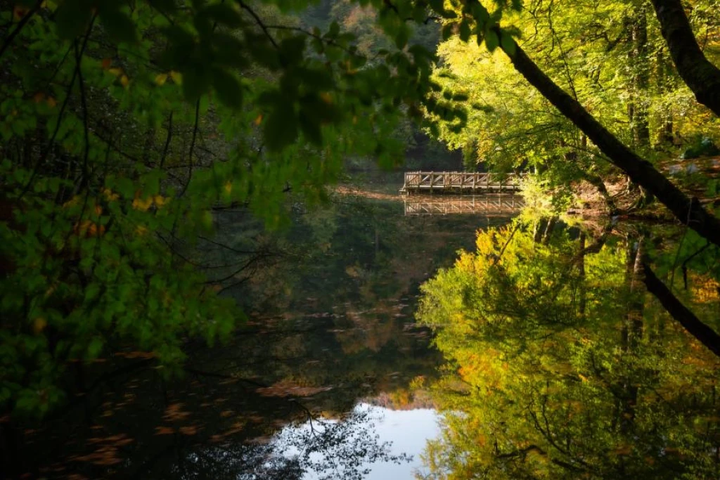 Yedigöller Turu (Gruplara ve Kişilere Özel)