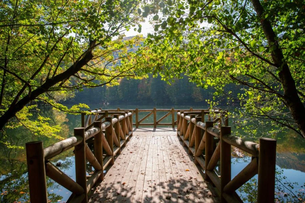 Yedigöller Turu (Gruplara ve Kişilere Özel)