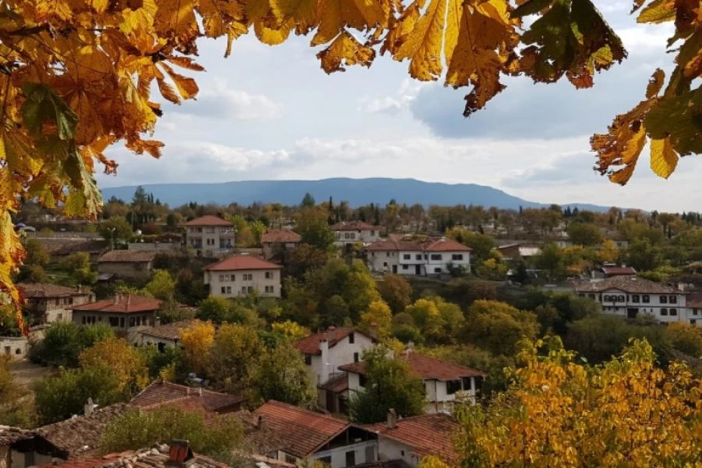 BOLU ÇIKIŞLI GÜNÜBİRLİK SAFRANBOLU VE AMASRA TURU