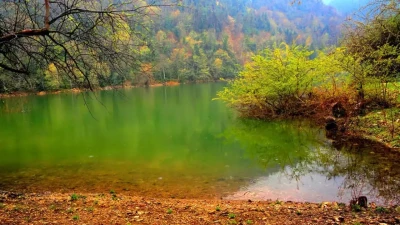 Sülüklü Göl: Bolu'nun Gizli Doğa Cenneti