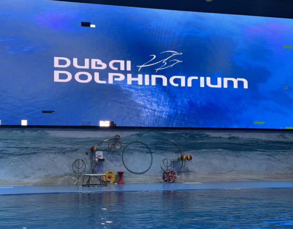 دولفيناريوم دبي – السباحة مع الدلافين