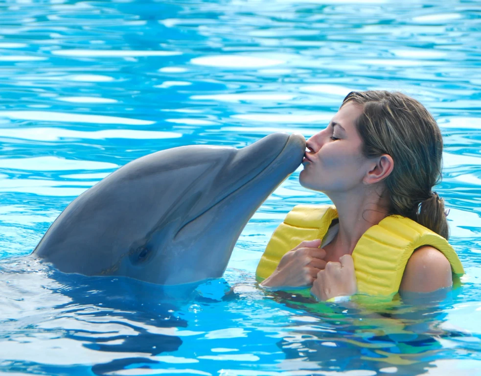 دولفيناريوم دبي – السباحة مع الدلافين