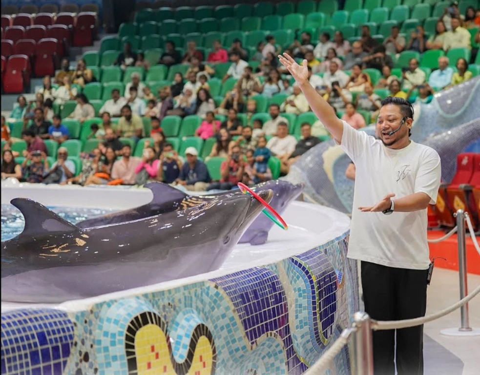 دولفيناريوم دبي – السباحة مع الدلافين