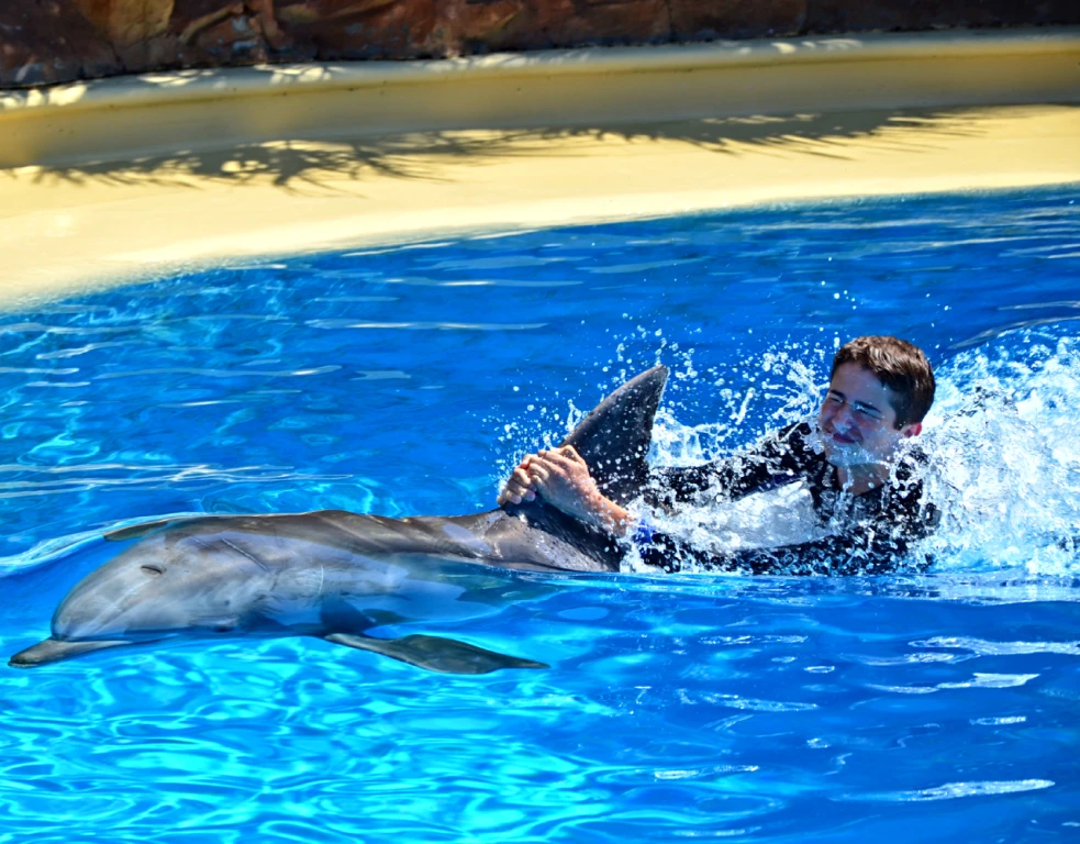 دولفيناريوم دبي – السباحة مع الدلافين