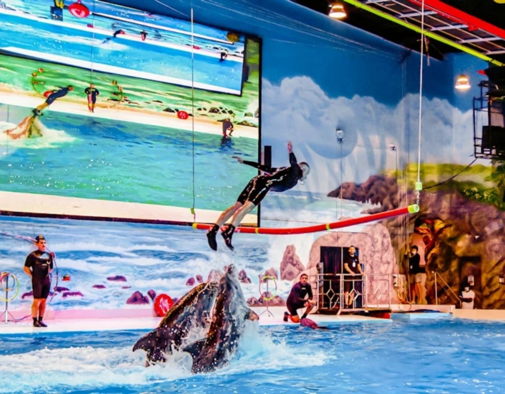 دولفيناريوم دبي (تذكرة عادية)