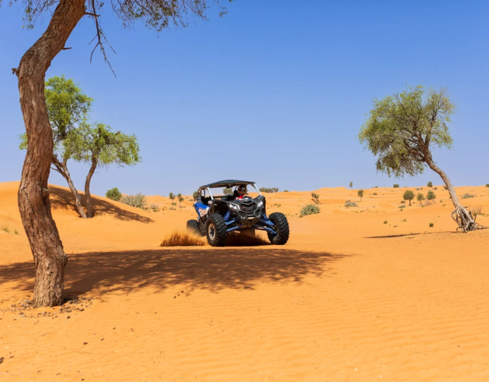 Кан-Ам Маверик X3 XRS Дэй Райд - 2 местный