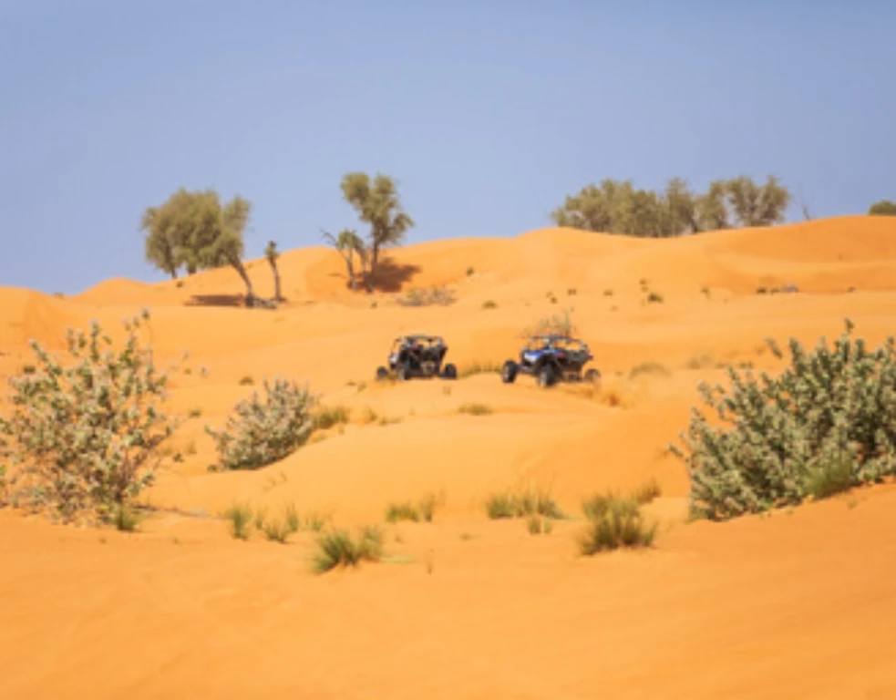 Can-Am Maverick R240 HP Paseo Diurno 2 plazas