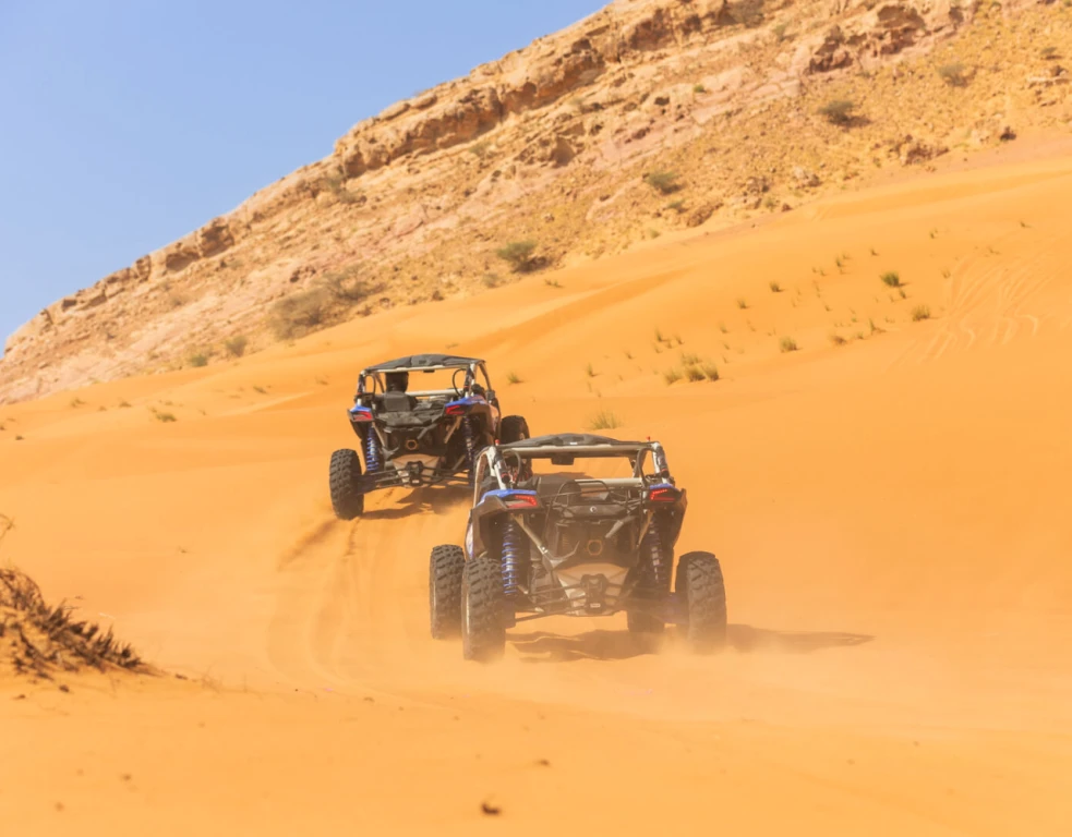 Can-Am Maverick R240 HP Paseo Diurno 2 plazas