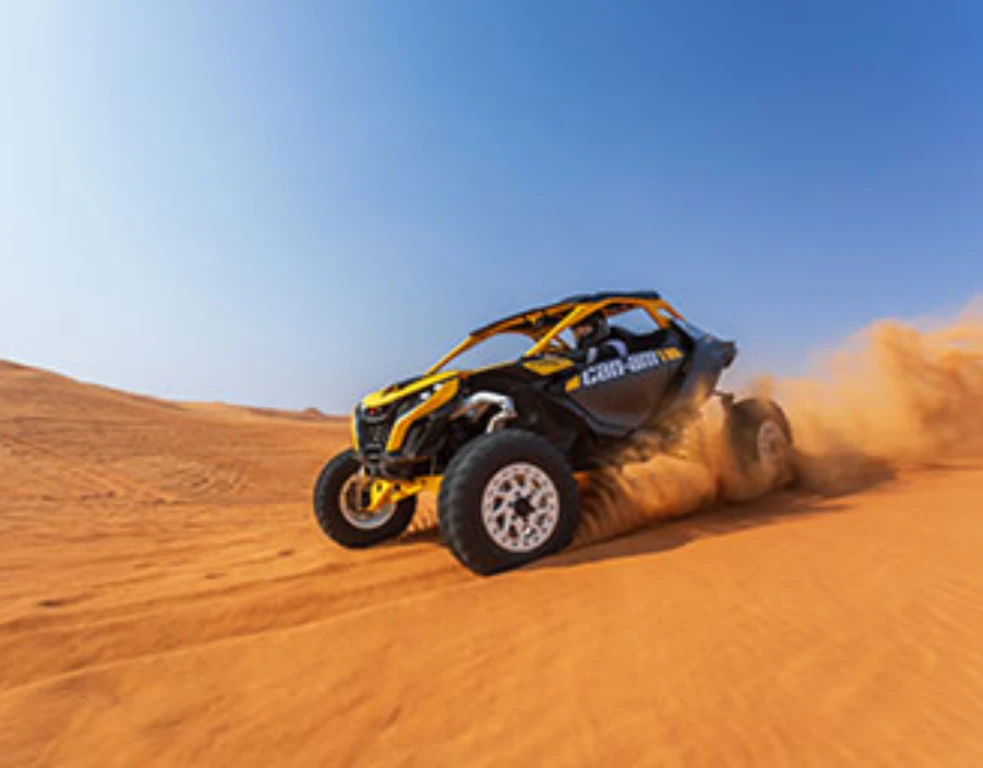 Can-Am Maverick R240 Л.с. Дневная поездка - 2 места