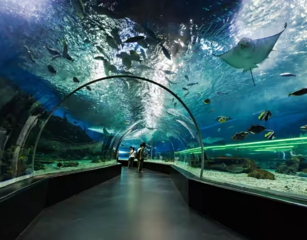 Dubai Akvaryum Hayvanat Bahçesi – Temel