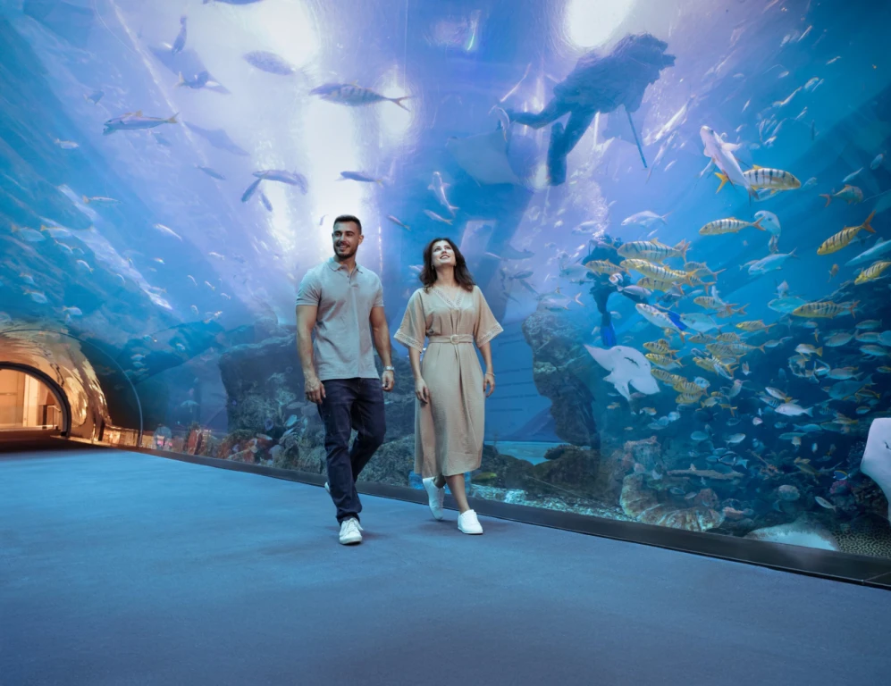 Dubai Akvaryum Hayvanat Bahçesi – Temel