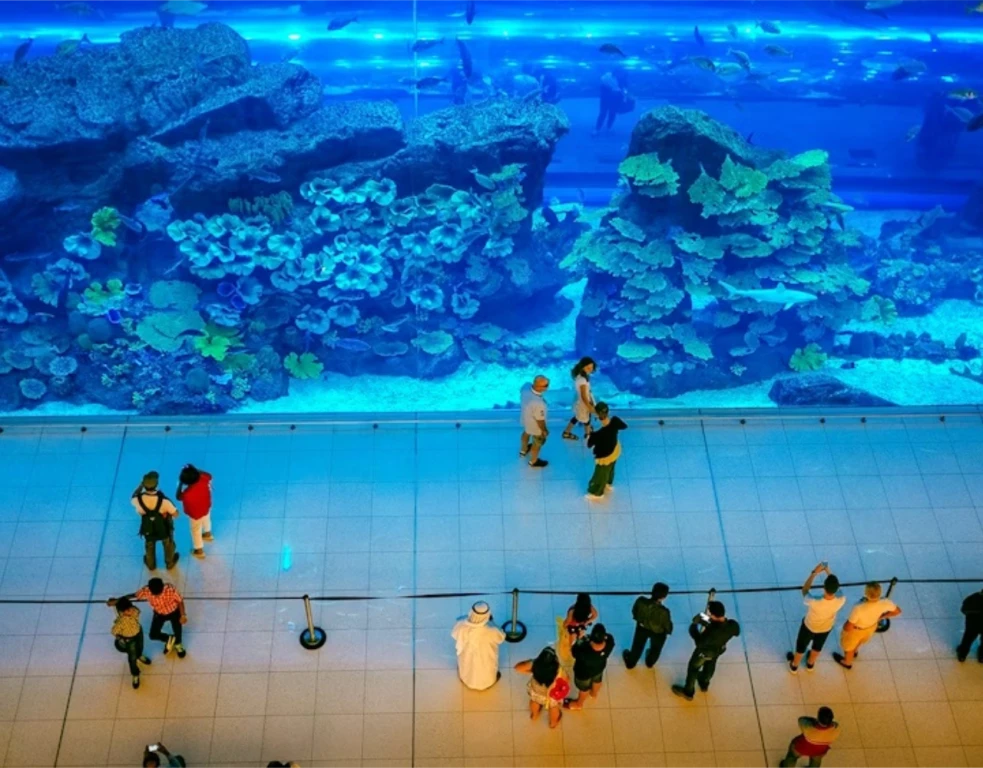 Dubai Akvaryum Hayvanat Bahçesi – Temel