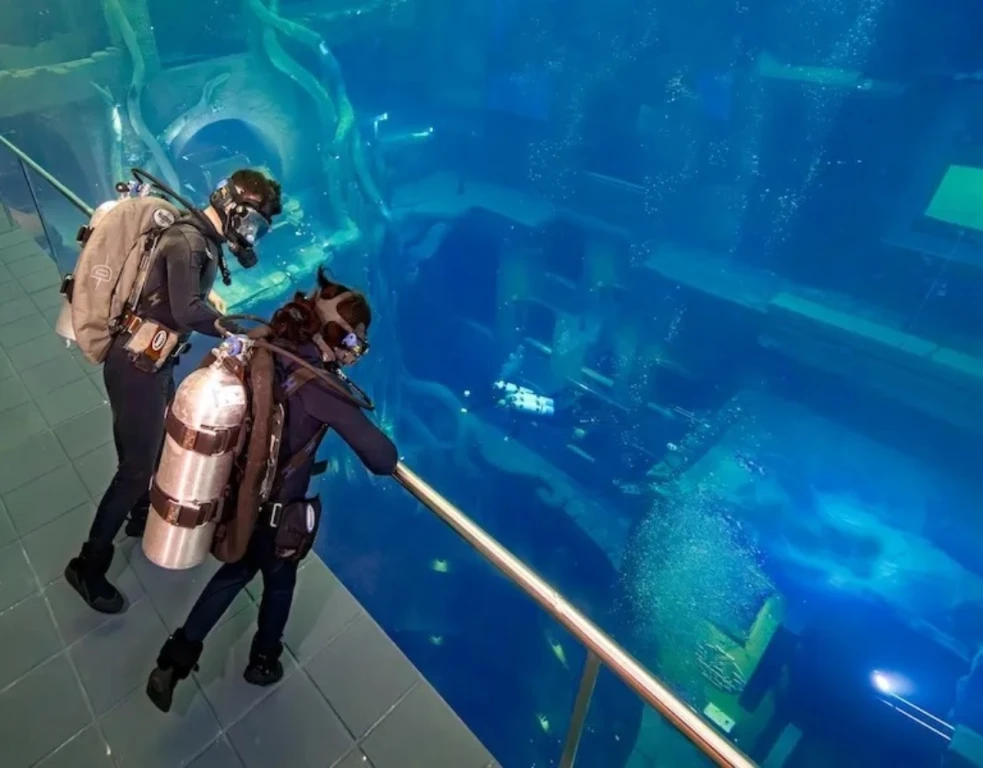 Дайвинг в Deep Dive Dubai бесплатно – для первых погружений