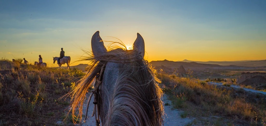 Cappadocia Horse Riding Tours