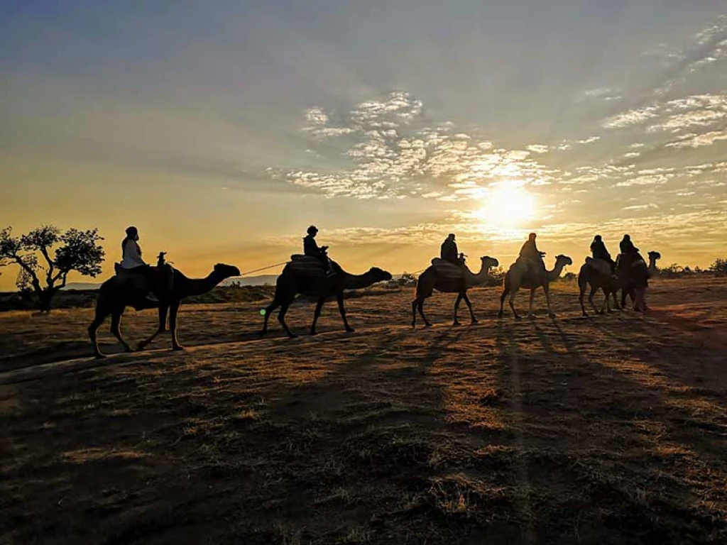 Cappadocia Camel Riding Tour