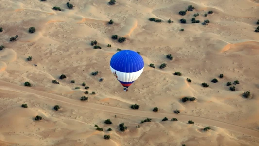 Dubai Balloon Ride with Falcon Show (Standard Package)
