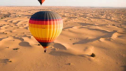 Dubai Balloon Ride with Falcon Show (Standard Package)