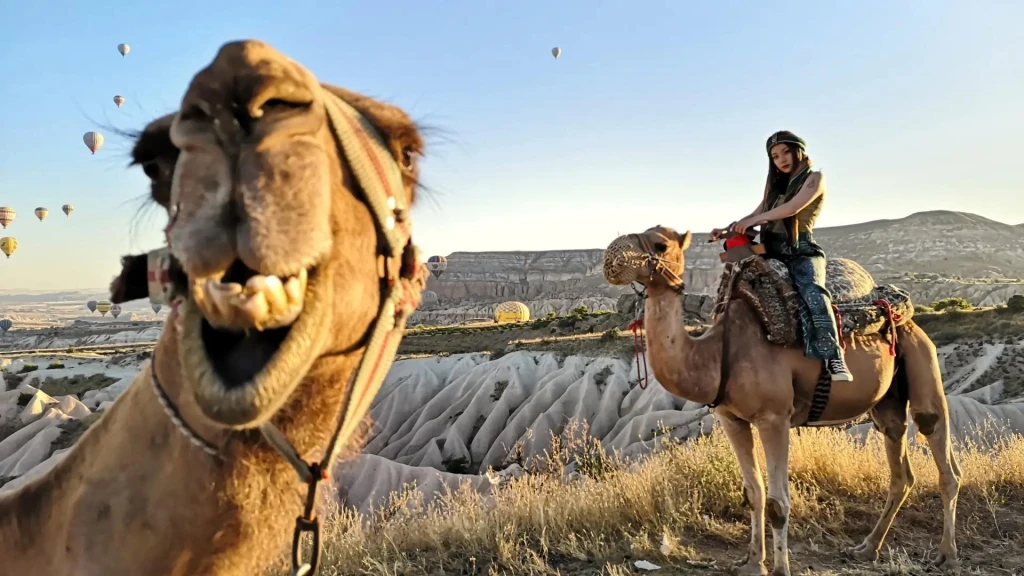 Private Camel Riding in Cappadocia